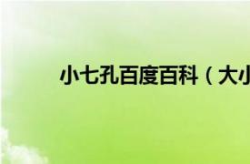 小七孔百度百科（大小七孔相关内容简介介绍）