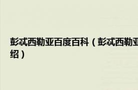 彭忒西勒亚百度百科（彭忒西勒亚 西方传统：经典与解释相关内容简介介绍）