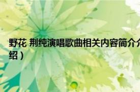 野花 荆纯演唱歌曲相关内容简介介绍（野花 荆纯演唱歌曲相关内容简介介绍）