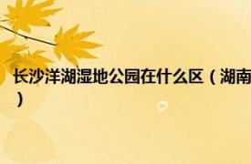 长沙洋湖湿地公园在什么区（湖南长沙洋湖国家湿地公园相关内容简介介绍）