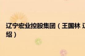 辽宁宏业控股集团（王国林 辽宁宏业集团董事长相关内容简介介绍）