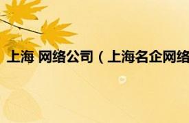 上海 网络公司（上海名企网络科技有限公司相关内容简介介绍）