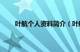 叶航个人资料简介（叶航 品牌相关内容简介介绍）