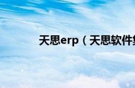 天思erp（天思软件集团相关内容简介介绍）