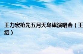 王力宏抢先五月天鸟巢演唱会（王力宏火力全开鸟巢演唱会相关内容简介介绍）