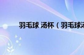 羽毛球 汤杯（羽毛球汤尤杯相关内容简介介绍）