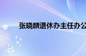 张晓麟退休办主任办公室第五分所相关内容简介