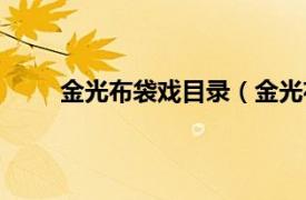 金光布袋戏目录（金光布袋戏相关内容简介介绍）