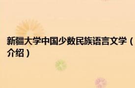 新疆大学中国少数民族语言文学（新疆大学中国语言文学学院相关内容简介介绍）