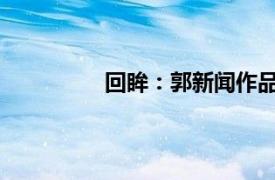 回眸：郭新闻作品研讨会相关内容简介