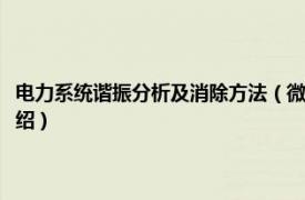 电力系统谐振分析及消除方法（微机电力谐振诊断消除装置相关内容简介介绍）