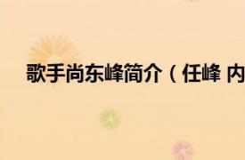 歌手尚东峰简介（任峰 内地男歌手相关内容简介介绍）