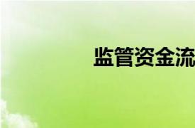 监管资金流相关内容简介