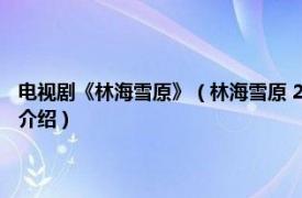 电视剧《林海雪原》（林海雪原 2002年李文歧执导的电视剧相关内容简介介绍）