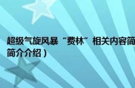 超级气旋风暴“费林”相关内容简介介绍（超级气旋风暴“费林”相关内容简介介绍）