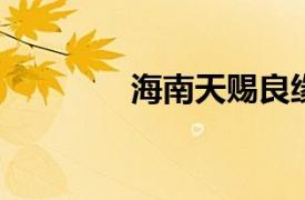 海南天赐良缘相关内容简介