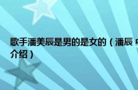 歌手潘美辰是男的是女的（潘辰 中国内地流行女歌手、演员相关内容简介介绍）