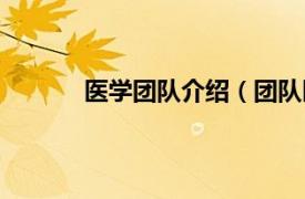 医学团队介绍（团队医疗相关内容简介介绍）