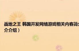 战地之王 韩国开发网络游戏相关内容简介介绍（战地之王 韩国开发网络游戏相关内容简介介绍）