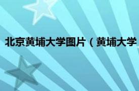 北京黄埔大学图片（黄埔大学 北京黄埔大学相关内容简介介绍）