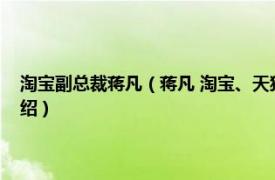 淘宝副总裁蒋凡（蒋凡 淘宝、天猫、阿里妈妈事业群总裁相关内容简介介绍）