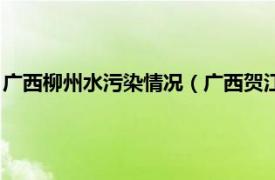 广西柳州水污染情况（广西贺江水体污染事件相关内容简介介绍）