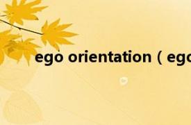 ego orientation（egoistical相关内容简介介绍）