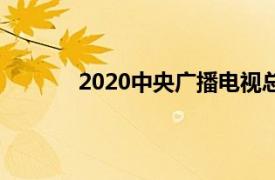 2020中央广播电视总台春节联欢晚会央视网