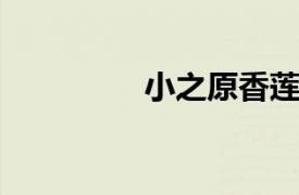 小之原香莲相关内容介绍