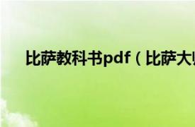 比萨教科书pdf（比萨大师中文版相关内容简介介绍）