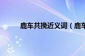 鹿车共挽近义词（鹿车共挽相关内容简介介绍）