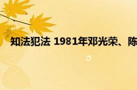 知法犯法 1981年邓光荣、陈惠敏主演电影相关内容简介介绍