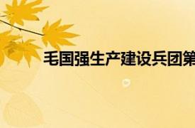 毛国强生产建设兵团第二师中级法院原院长简介