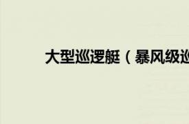 大型巡逻艇（暴风级巡逻艇相关内容简介介绍）