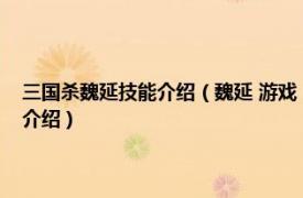 三国杀魏延技能介绍（魏延 游戏《三国杀英雄传》中的英雄相关内容简介介绍）