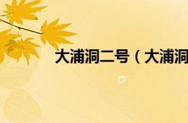 大浦洞二号（大浦洞2号相关内容简介介绍）