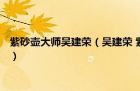 紫砂壶大师吴建荣（吴建荣 紫砂工艺美术大师相关内容简介介绍）