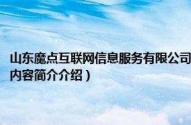 山东魔点互联网信息服务有限公司（山东亿点互联网服务有限责任公司相关内容简介介绍）