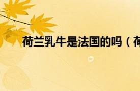 荷兰乳牛是法国的吗（荷兰乳牛相关内容简介介绍）