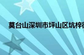 莫台山深圳市坪山区坑梓街道四级研究员相关内容简介