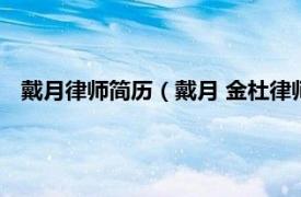 戴月律师简历（戴月 金杜律师事务所律师相关内容简介介绍）