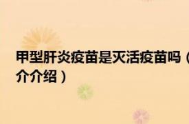 甲型肝炎疫苗是灭活疫苗吗（甲型肝炎纯化灭活疫苗相关内容简介介绍）