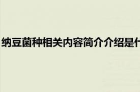 纳豆菌种相关内容简介介绍是什么（纳豆菌种相关内容简介介绍）