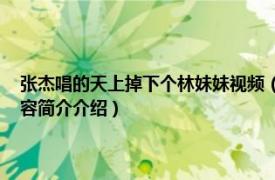 张杰唱的天上掉下个林妹妹视频（天上掉下个林妹妹 张杰演唱歌曲相关内容简介介绍）