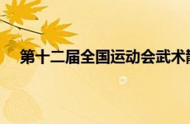 第十二届全国运动会武术散打比赛相关内容简介介绍词