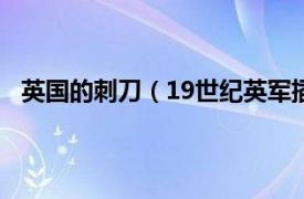 英国的刺刀（19世纪英军插座式刺刀相关内容简介介绍）