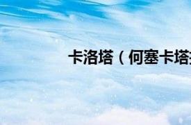 卡洛塔（何塞卡塔拉相关内容简介介绍）