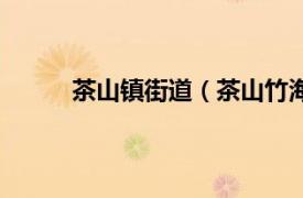 茶山镇街道（茶山竹海街道相关内容简介介绍）