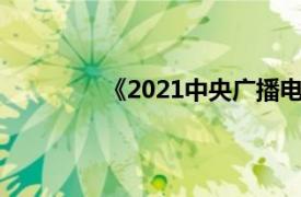 《2021中央广播电视总台春节联欢晚会》