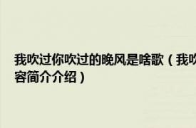 我吹过你吹过的晚风是啥歌（我吹过你吹过的晚风 安泩演唱的歌曲相关内容简介介绍）